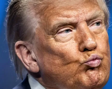 Trump vs Facts Review: No Other Channel Would Attempt TV So Daring (while also) Mind-Numbing