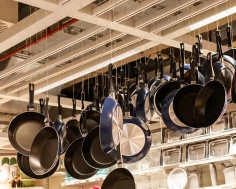 Non-Stick Eating, Aromatic Lactation and Zebra Cows Triumph at 2025 Ig Nobel Prizes
