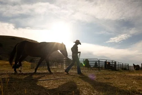 Discover the US Women Ranchers Reshaping Contemporary Ranch Life