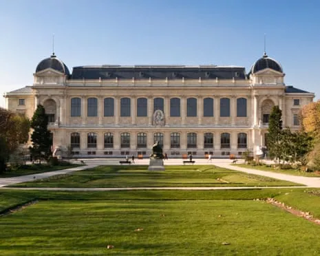 Invaluable Golden Pieces Stolen in Audacious Raid at France's National Institution
