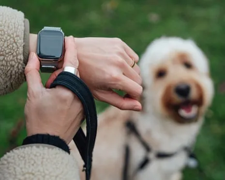 The Honest Scoop Concerning Fitness Trackers? Living Is Better Devoid of a Hectoring Gadget on Your Wristwear